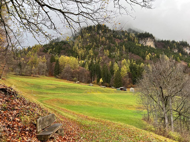 Die schönen Herbstfarben der Almen am Fuße der Berge über dem Taminatal und im Massiv der Schweizer Alpen, Vaettis - Kanton St. Gallen, Schweiz / Schweiz - Foto, Bild