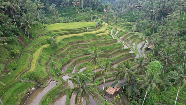 Bali, Indonézia - november 11, 2022: A turisztikai látványosságok és látnivalók Bali - Fotó, kép