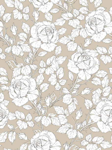 patrón floral sin costuras. Fondo beige con rosas blancas. Patrón de vector botánico drenado a mano - Vector, Imagen