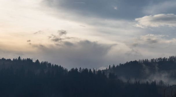 Brouillard sur les montagnes  - Photo, image
