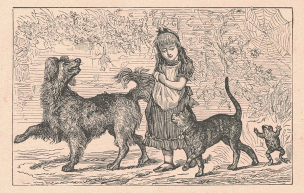 Černobílé starožitné ilustrace ukazují, že dívka jde na procházku se psem, kočkou a žábou. Ročník kresby ukazuje, že dívka jde na procházku se zvířaty. Starý obrázek z pohádkové knihy. Příběh ilustrace zveřejněna1910. Pohádka, pohádka, - Fotografie, Obrázek