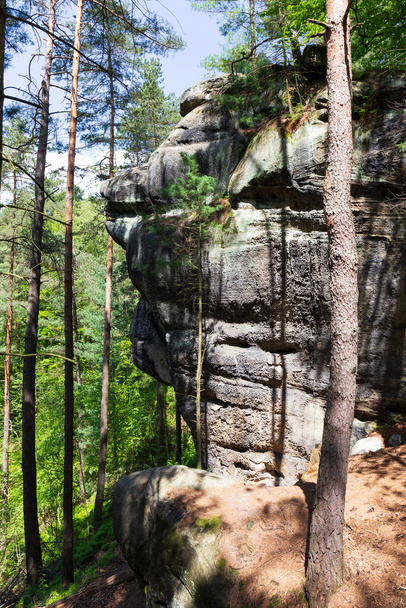 Beautiful sandstone Rocks in Czech Paradise, clear green Nature, Mala Skala, Little Rock, Czech Republic - 写真・画像