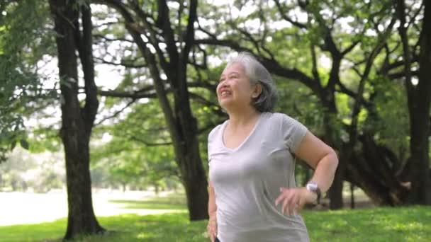 Ázsiai idős nő gyakorol a parkban Boldogan mosolygott. A nyugdíjasok egészségügyi ellátásának fogalma. A nyugdíjba vonulás egészségügyi gyakorlata - Felvétel, videó