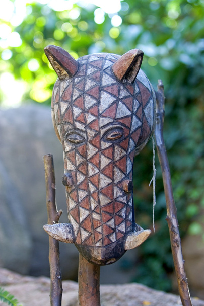 houten gravure van hoofd van wilde zwijnen - Foto, afbeelding