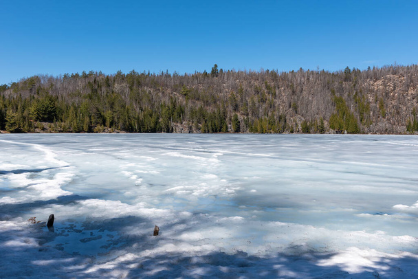 春のマウリース国立公園(カナダ公園)のソリティア湖,ケベック州,カナダ - 写真・画像