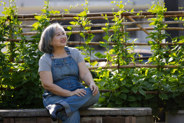 Seniorzy Azja kobiety siwe włosy cieszył uprawy warzyw w podwórku.zrównoważony styl życia i dobre samopoczucie - Zdjęcie, obraz