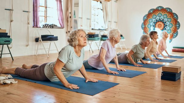 Yoga, ejercicio y mujeres mayores estirándose por el equilibrio, la paz y el bienestar en zen studio. Meditación, calma y grupo de amigos mayores haciendo ejercicios de pilates para la salud mental y corporal en clase de chakra - Foto, imagen
