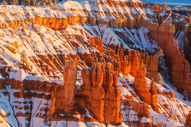 Rochers roses pittoresques et colorés du parc national de Bryce Canyon en hiver, Utah, États-Unis - Photo, image