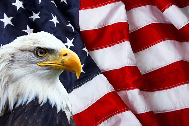 Βορειοαμερικανική φαλακρός αετός στην αμερικανική σημαία  - Φωτογραφία, εικόνα
