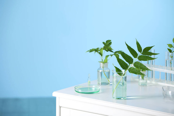 Laboratory glassware with plants on white table, space for text - Foto, Imagen