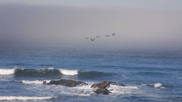 De kustlijn van de noordelijke Stille Oceaan in Californië, met de glooiende mist uit de zee, en de pelikanen vliegen in de lucht, de hoge golven en rotsen in het water. - Foto, afbeelding