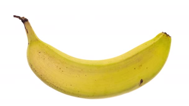 4K Aika Lapse kypsymisen ja rappeutumisen banaani eristetty valkoisella taustalla. - Materiaali, video