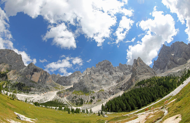 panoraama Italian alppien Dolomiitit vuoristoryhmässä Italiassa lähellä Paneveggio Town - Valokuva, kuva