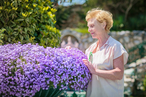 Elderly woman standing near a large flower pot with purple flowers and caring for plants - Photo, image