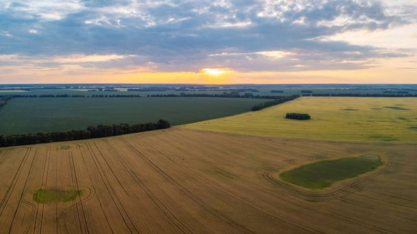 Воздушный ландшафт сельскохозяйственных полей на закате. Летний вид на поля пшеницы, ржи и других культур в вечернее время - Фото, изображение