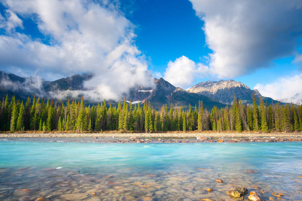 Vuorimaisema päivällä. Joki ja metsä vuoristolaaksossa. Luonnonmaisema sininen taivas ja pilvet. Banffin kansallispuisto, Alberta, Kanada.  - Valokuva, kuva
