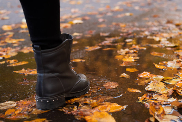 Barevné podzimní listí v jezírkové vodě a boty kolemjdoucího, který prochází kaluží vody. Deštivé podzimní počasí - Fotografie, Obrázek