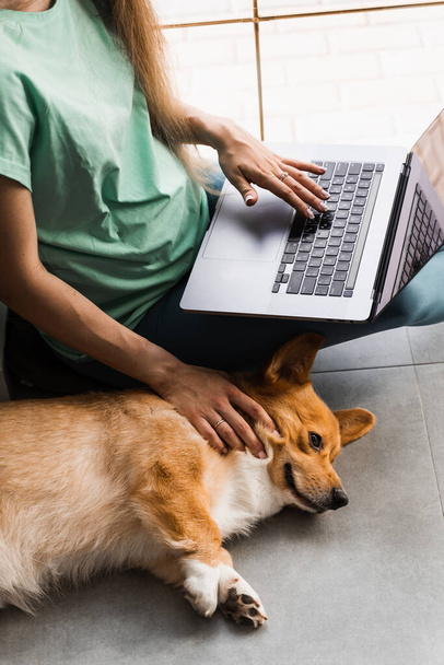 Mujer programadora embarazada trabajando en línea y tener un descanso para abrazar a su perro. Divirtiéndose con el galés Corgi Pembroke. Chica embarazada con sonrisa portátil y jugar con el perro Corgi en casa - Foto, imagen
