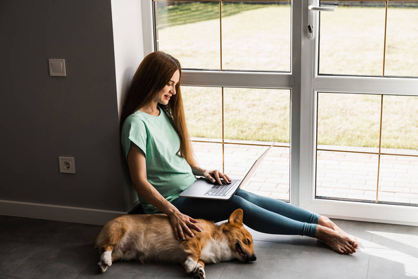 Chica embarazada con portátil y perro Corgi sentado en el suelo y charlando en línea con amigos. Embarazo de estilo de vida con Corgi Pembroke galés - Foto, imagen