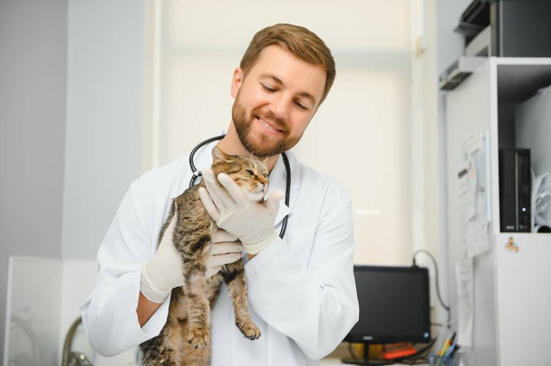 Cat visiting vet for regular checkup. - Foto, Imagem