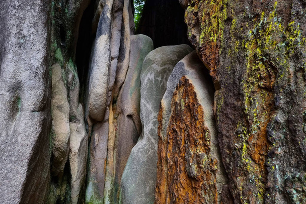 Lindas rochas na floresta nas montanhas. O pano de fundo da natureza - Foto, Imagem