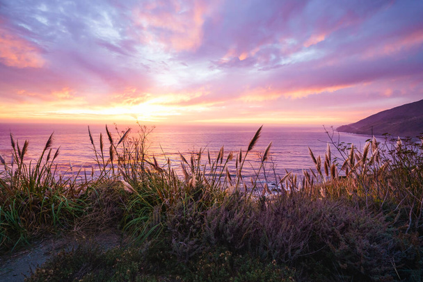 Ένα όμορφο ροζ ηλιοβασίλεμα στην ακτή Μπιγκ Σουρ της Κεντρικής Ακτής της Καλιφόρνια. Πολύχρωμος συννεφιασμένος ουρανός, ήσυχο Ειρηνικό Ωκεανό, και εγγενή φυτά της Καλιφόρνια στην παραλία στο χρυσό φως του ήλιου - Φωτογραφία, εικόνα