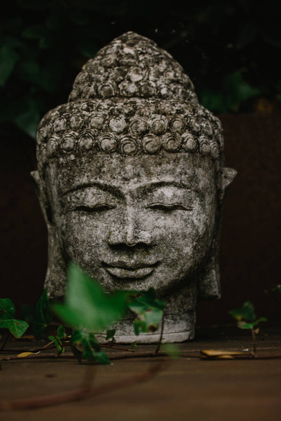 Szary kamienny posąg twarz głowy Buddy jako symbol harmonii, religii buddyzmu. Miejsce do medytacji w azjatyckim ogrodzie wśród zielonych liści zdjęcie pionowe. Stary antyczny posąg, Bhagwan lub Lord Goutam Buddha - Zdjęcie, obraz