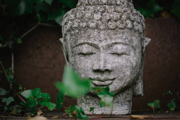 Šedý kámen socha hlava tvář Buddhy jako symbol harmonie, buddhismus náboženství. Místo pro meditaci v asijské zahradě mezi zelenými listy. Stará antická socha, Bhagwan nebo lord Goutam Buddha. Klid. - Fotografie, Obrázek