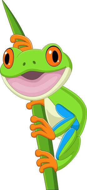Illustration vectorielle de Dessin animé grenouille heureuse sur feuille - Vecteur, image