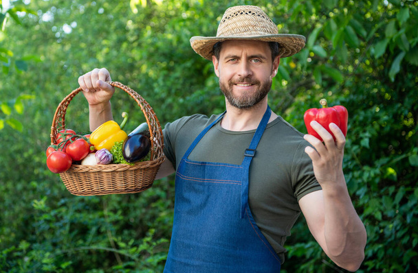 man in straw hat hold basket full of vegetables. organic food. - Photo, Image