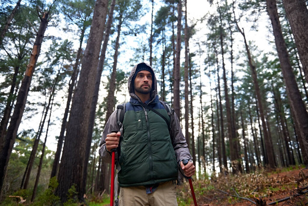 Gehen Sie weiter. ein gutaussehender Mann, der in einem Kiefernwald mit Nordic-Walking-Stöcken wandert - Foto, Bild