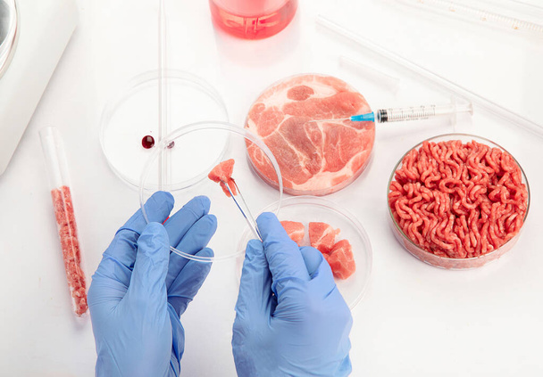 Petri dish with cultured meat in laboratory. Concept of clean meat cultured - 写真・画像