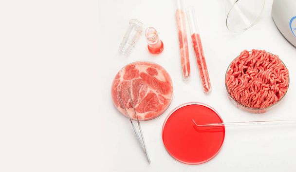 Petri dish with cultured meat in laboratory. Concept of clean meat cultured. copy space - Foto, Bild