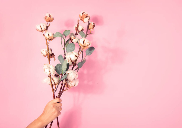 Tak met katoenen bloemen op roze achtergrond. Vrouwelijke hand houden bloemige samenstelling met katoenen bloemen. - Foto, afbeelding