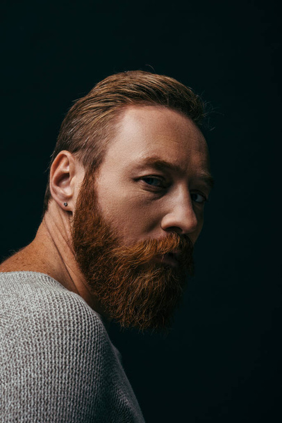 Portrait of bearded man in grey sweater looking at camera isolated on black  - Foto, afbeelding