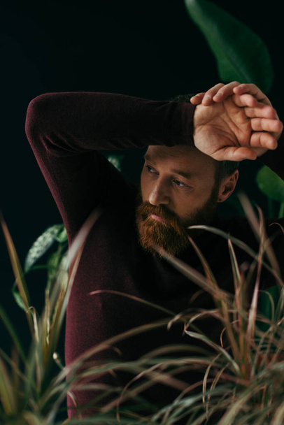 Elegante modelo barbudo posando cerca de plantas borrosas aisladas en negro  - Foto, imagen