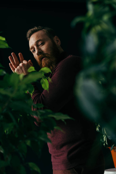 Divatos férfi pulcsiban nézi a kamerát a homályos növények közelében, zöld levelekkel elszigetelve a feketén.  - Fotó, kép
