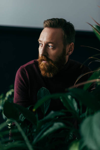 El hombre a la moda en el jersey de color burdeos mirando hacia otro lado cerca de las plantas sobre el fondo negro  - Foto, imagen