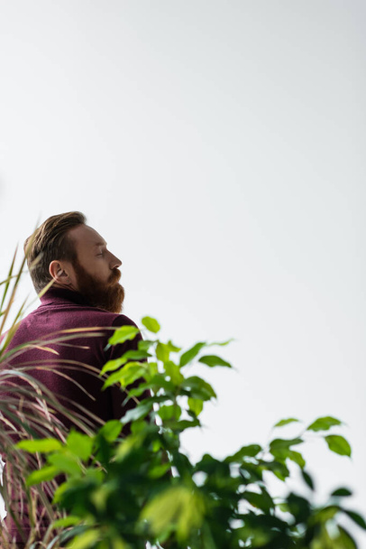Side view of stylish bearded man standing near blurred plants isolated on grey  - Photo, Image