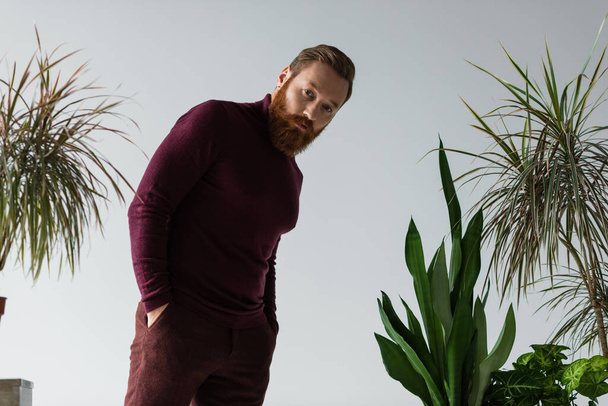 bearded man standing with hands in pockets near different plants isolated on grey  - Photo, Image