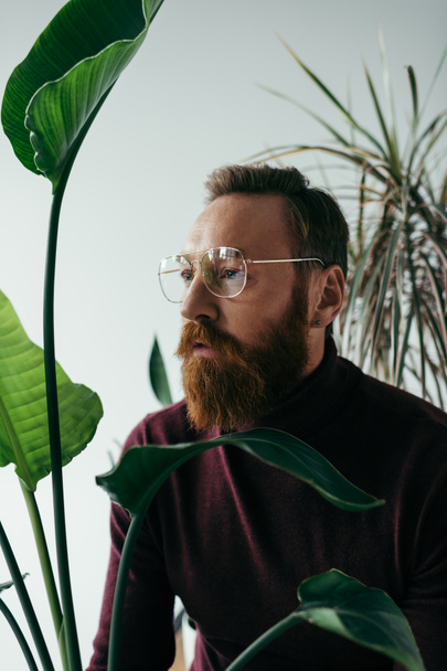 bärtiger Mann mit Brille steht neben grünen tropischen Pflanzen auf grau  - Foto, Bild