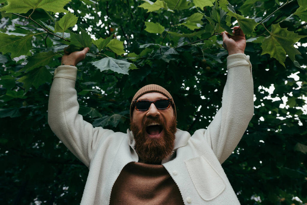 excited man in stylish sunglasses and beanie hat standing with raised hands near green leaves - Foto, afbeelding