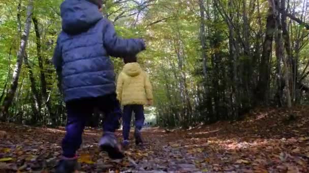 Anya két gyerekkel fiúk a hegyekben, egészséges életmód séta természeti környezet környezeti fenntarthatóság - Felvétel, videó