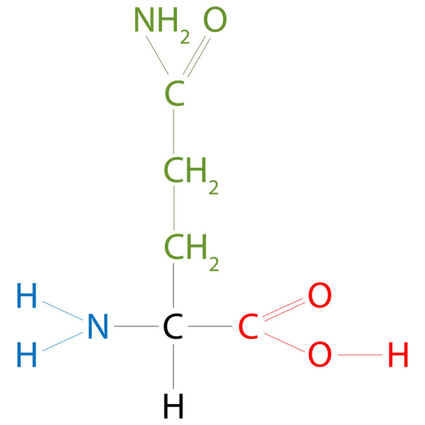 Die Struktur von Glutamin (Aminosäure). Seine Seitenkette ähnelt der von Glutaminsäure, außer dass die Carbonsäuregruppe durch ein Amid ersetzt wird.. - Vektor, Bild