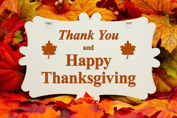 Thank you and Happy Thanksgiving greeting on sign and fall leaves - Photo, Image