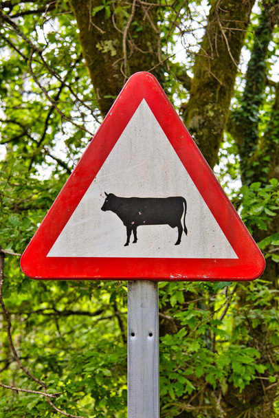  Seal en el bosque con pictograma de vaca. Indica la presencia de animales de ganadera. - Foto, afbeelding