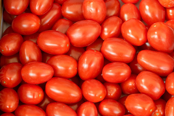 Закрыть помидоры черри в Амстердаме Нидерланды 19-9-2022 - Фото, изображение