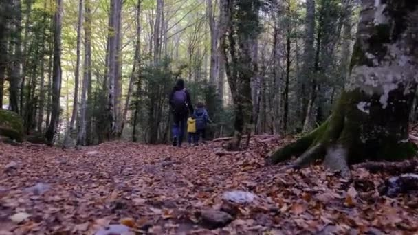 若いハイキング愛好家と晴れた季節をお楽しみください. 山でハイキングする息子と一緒にいる女性  - 映像、動画