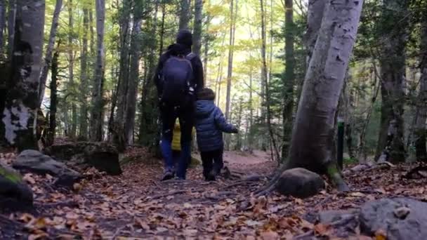 Élvezze a napsütéses évszakok fiatalos túrázás szerelmeseinek. nő a fiaival túrázás a hegyekben  - Felvétel, videó
