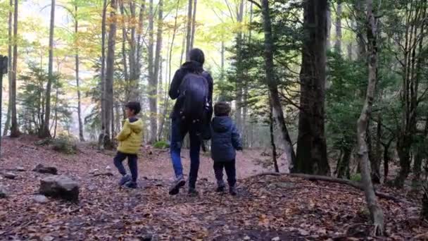 若いハイキング愛好家と晴れた季節をお楽しみください. 山でハイキングする息子と一緒にいる女性  - 映像、動画